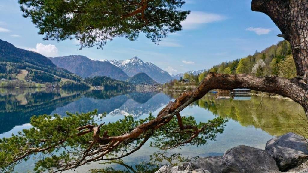 Ferienwohnung Haas Bad Aussee Exteriör bild